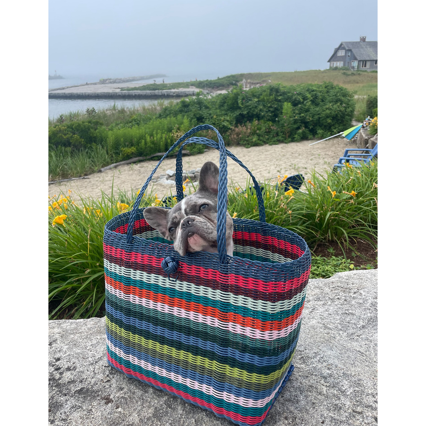 Medium | Multi Stripe Bright