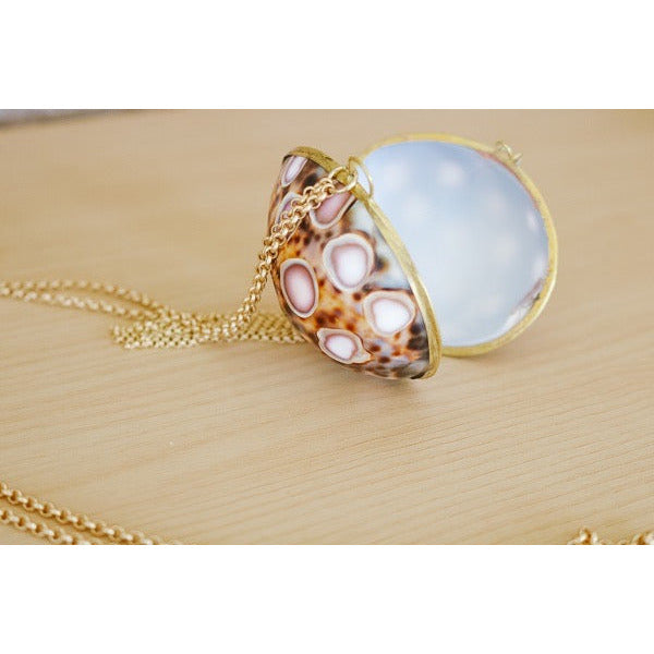 Pecten Shell Trinket Purse Necklace - Small