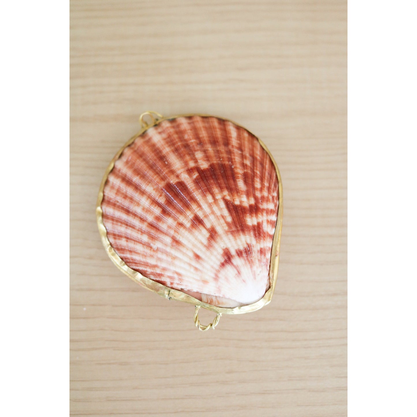 Pecten Shell Trinket Purse Necklace - Large