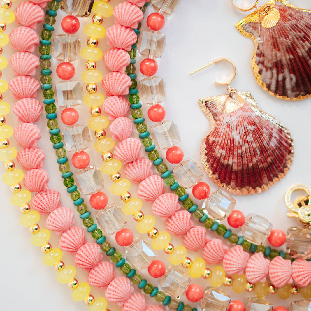 Shell Seeker Collection
