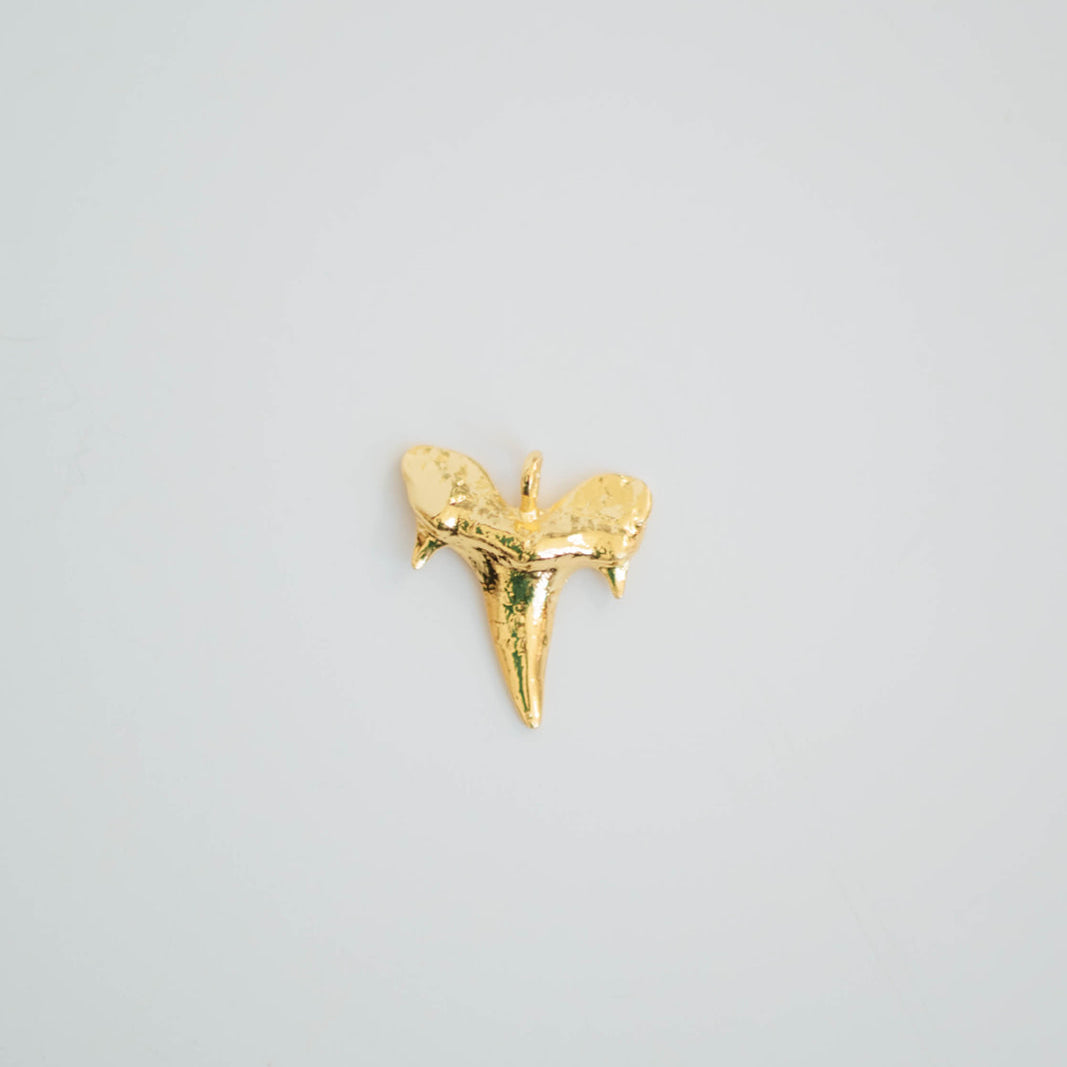 Shark Tooth Pendant