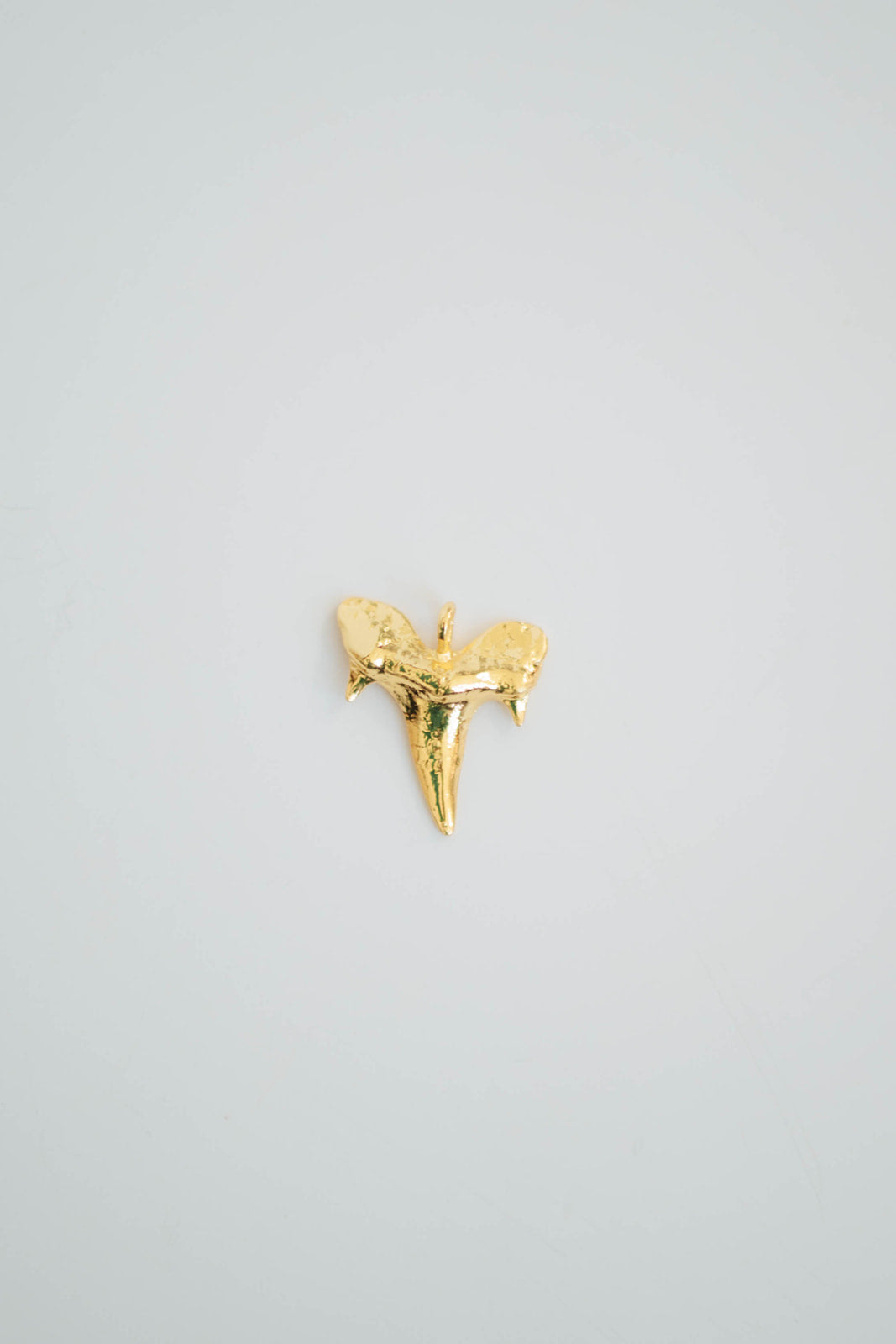 Shark Tooth Pendant