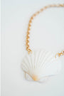 Scallop Shell Chain Necklace