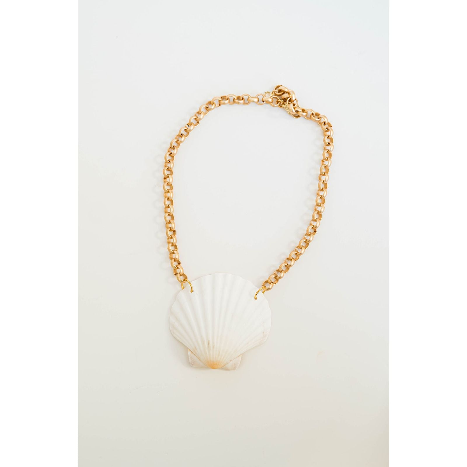 Scallop Shell Chain Necklace