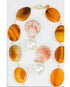 Necklace with amber-colored beads, pearls, and seashells on a white background