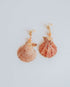 Shell-shaped earrings on a light gray background