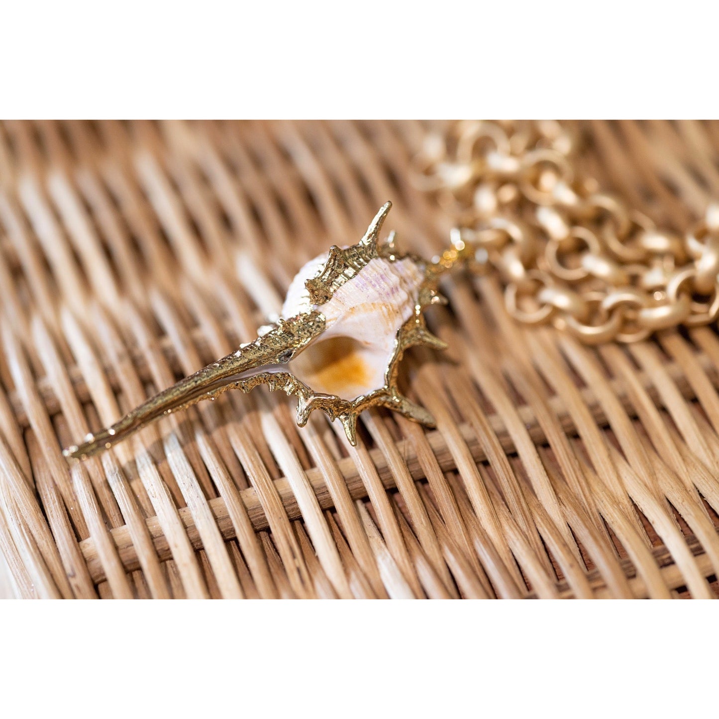 Layered Chain Shell Pendant Necklace